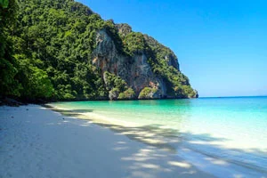 Monkey Beach